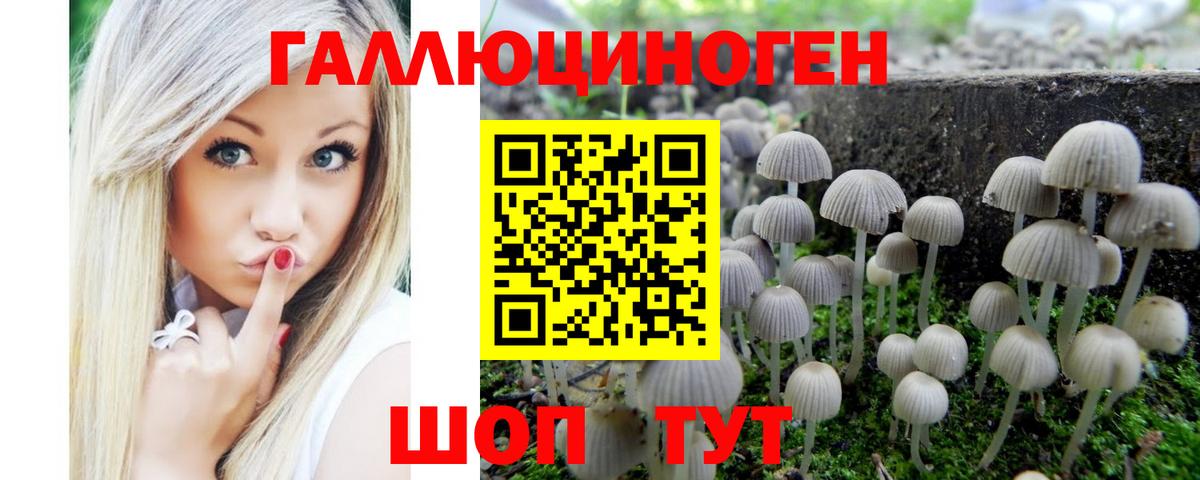 Псилоцибиновые грибы Psilocybine cubensis  Вход с VPN  Галлюциногенные грибы мухоморы  Ангарск 